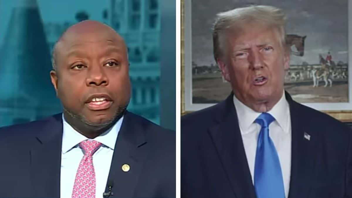 donald trump Tim Scott